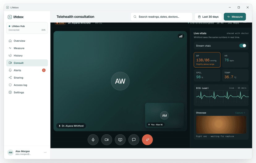 Patient view during telehealth consultation